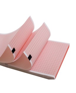 LESSA ECG paper